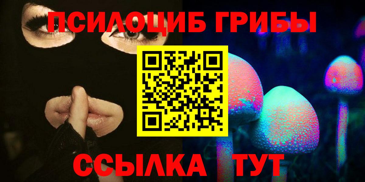 Галлюциногенные грибы Psilocybine cubensis  Вход с VPN  Алексин  Галлюциногенные грибы Psilocybine cubensis 